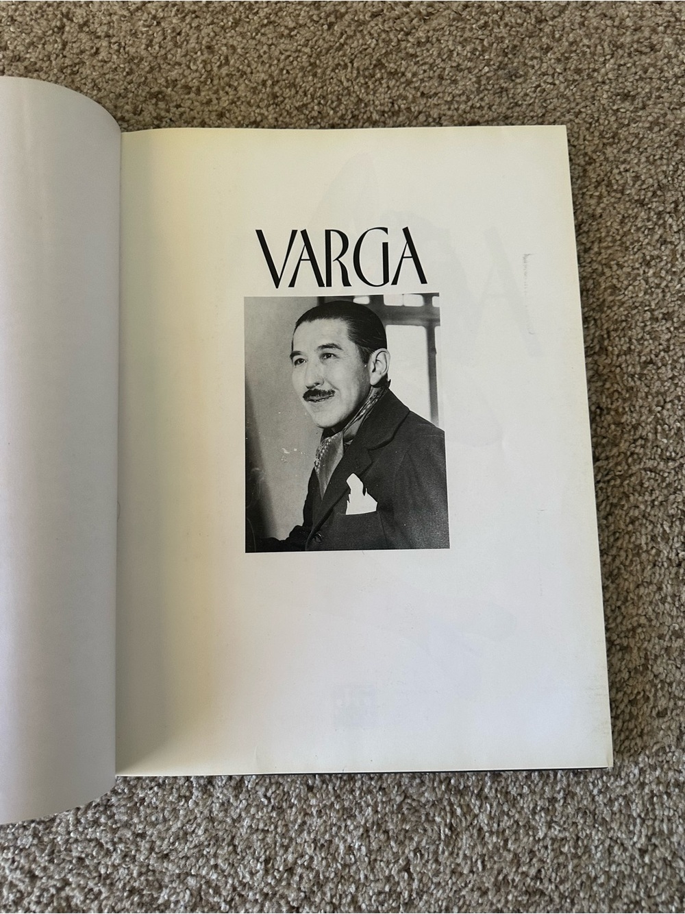 Varga Hardcover Illustrated Picture Book Reprint 2003 by Tom Robotham